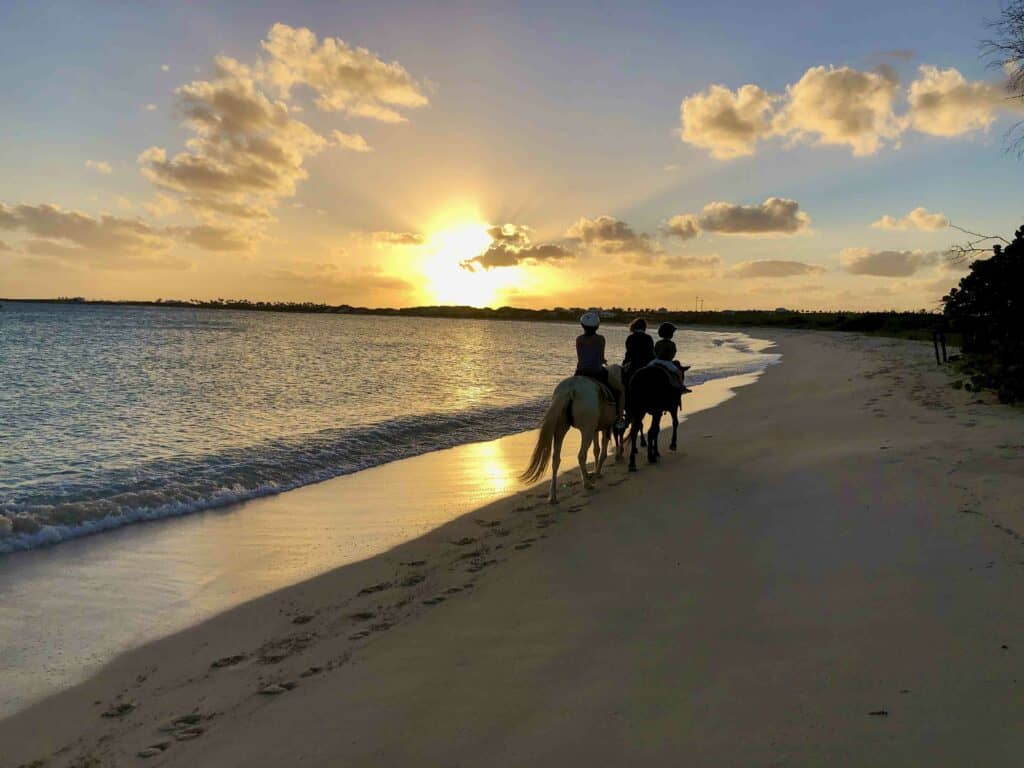 Sunset Horseback at Cove Bay